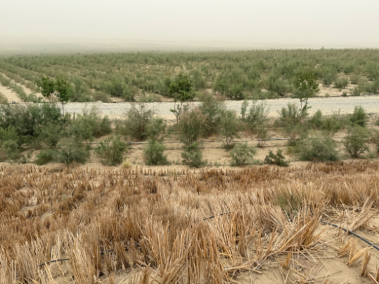 沒有圍墻的實驗室便是一種心連心幸福教育的新式教育實踐