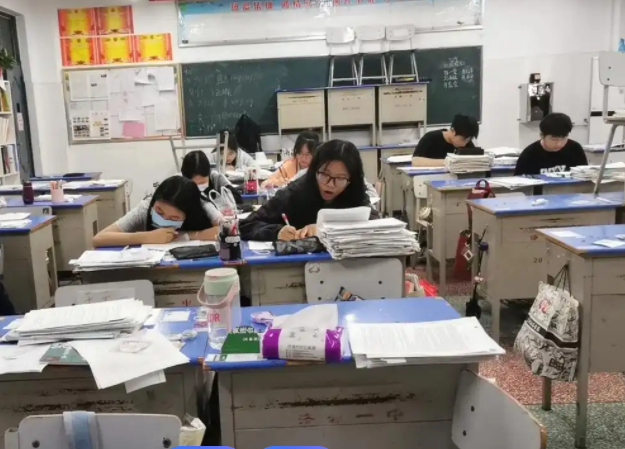 打破傳統講堂壁壘讓師友合作成為提升教學質量的核心引擎