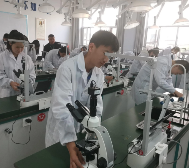 教育者都有鼓勵作用這種作用在兒童與青少年中體現(xiàn)得非常明顯